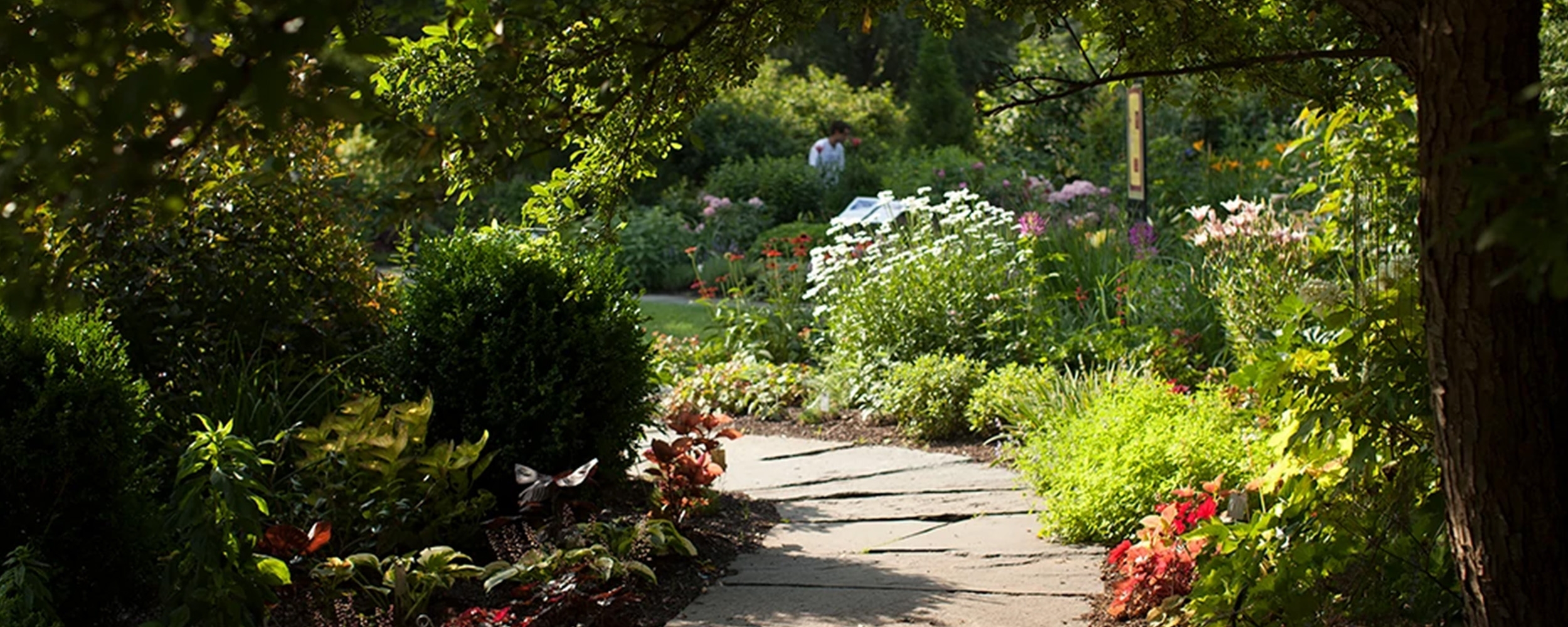 Landscape Design ECornell