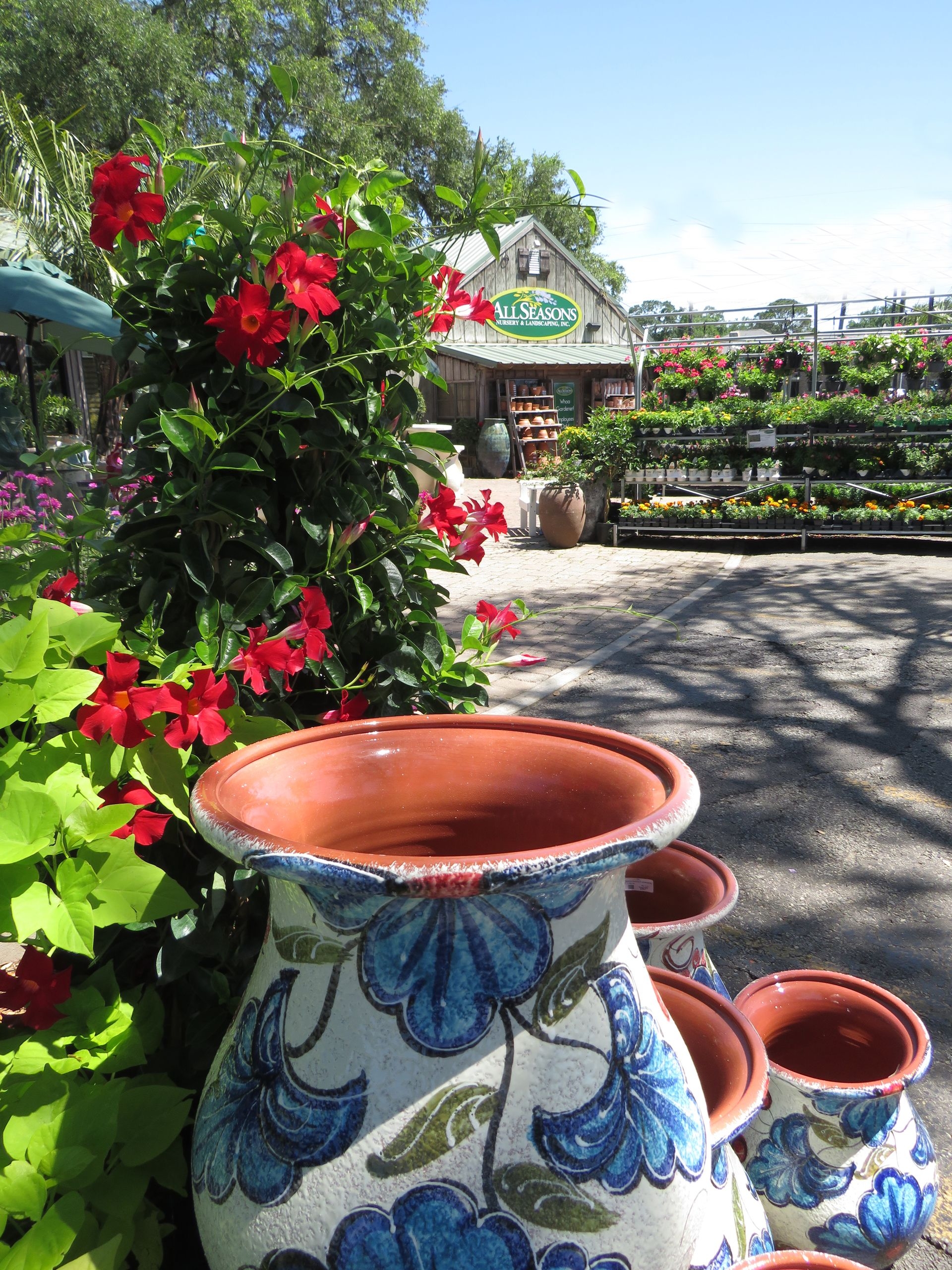 Landscape Design Garden Center Lafayette LA All Seasons Nursery