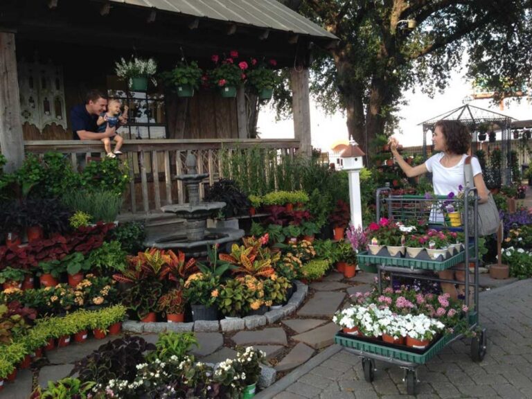 Landscape Design Garden Center Lafayette LA All Seasons Nursery
