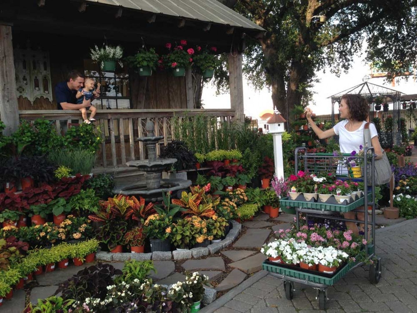 Landscape Design Garden Center Lafayette LA All Seasons Nursery