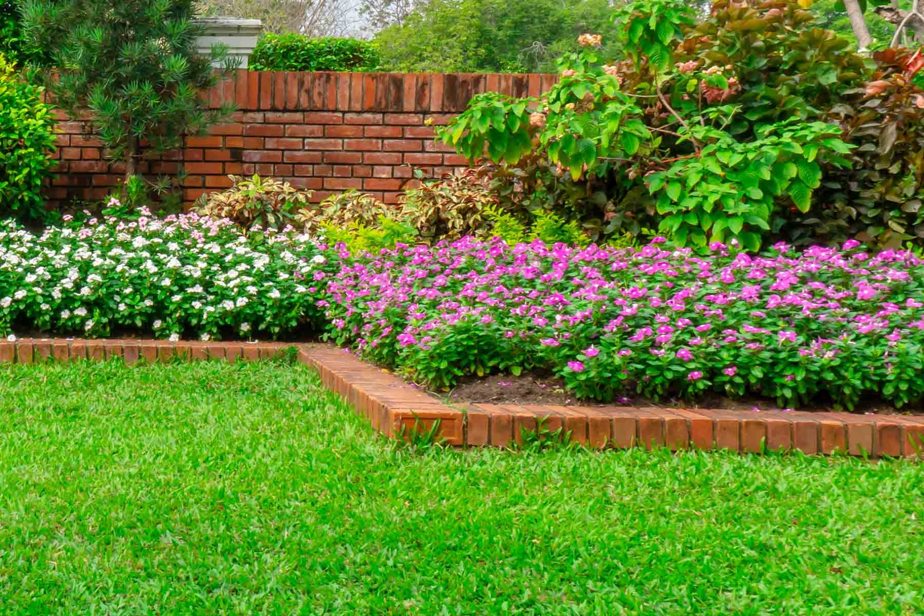 Landscape Edging Ideas 2025 