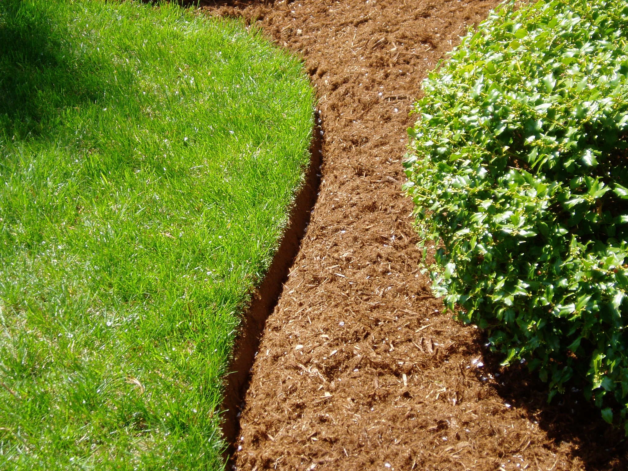 Landscape Edging Residential Lawn Edging
