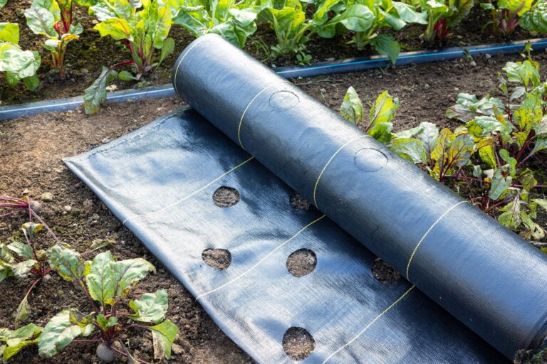 Landscape Fabric The Pros And Cons Of Using It In Your Garden