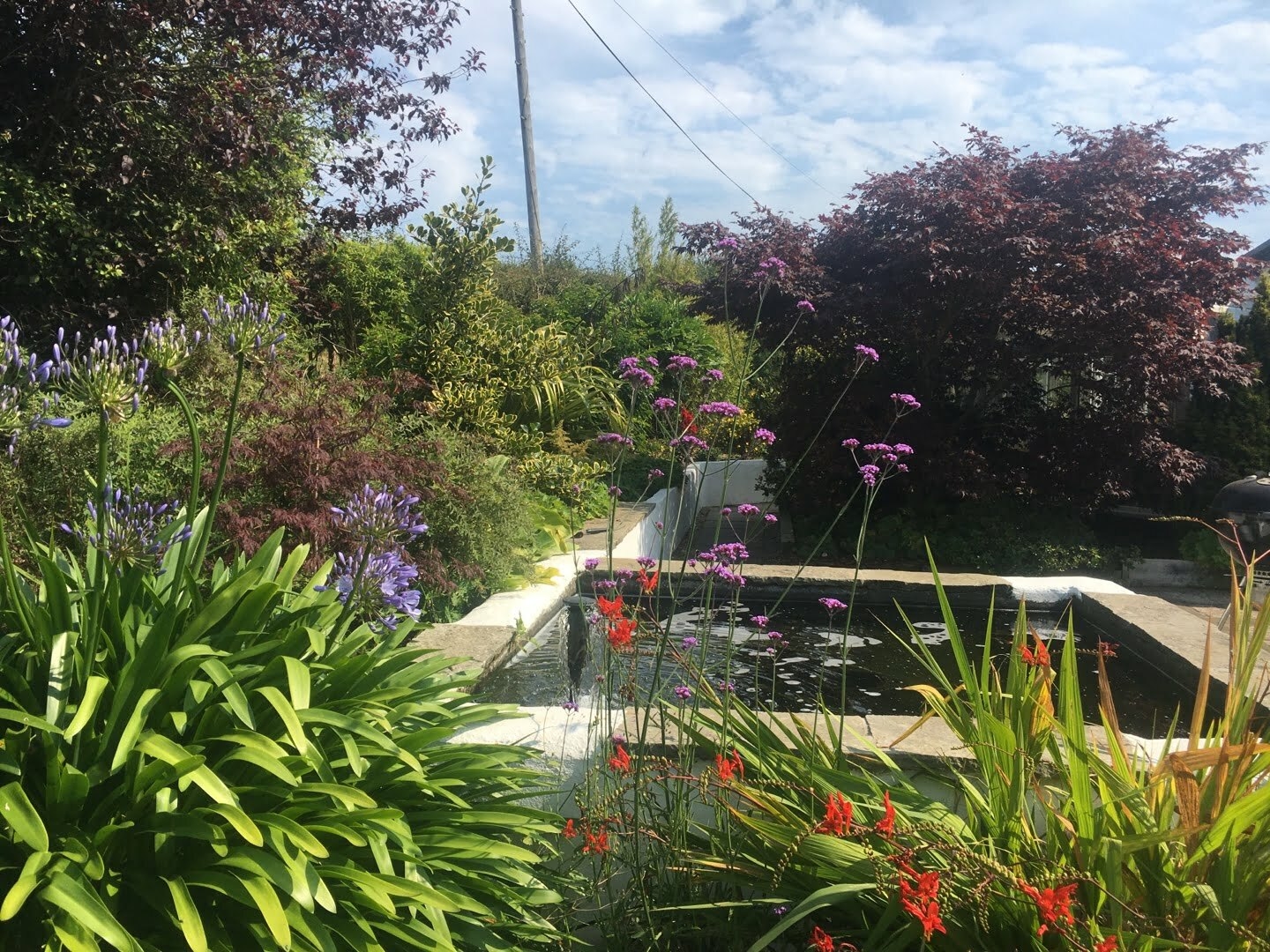 Landscape Gardeners Belfast Ford Landscapes Northern Ireland