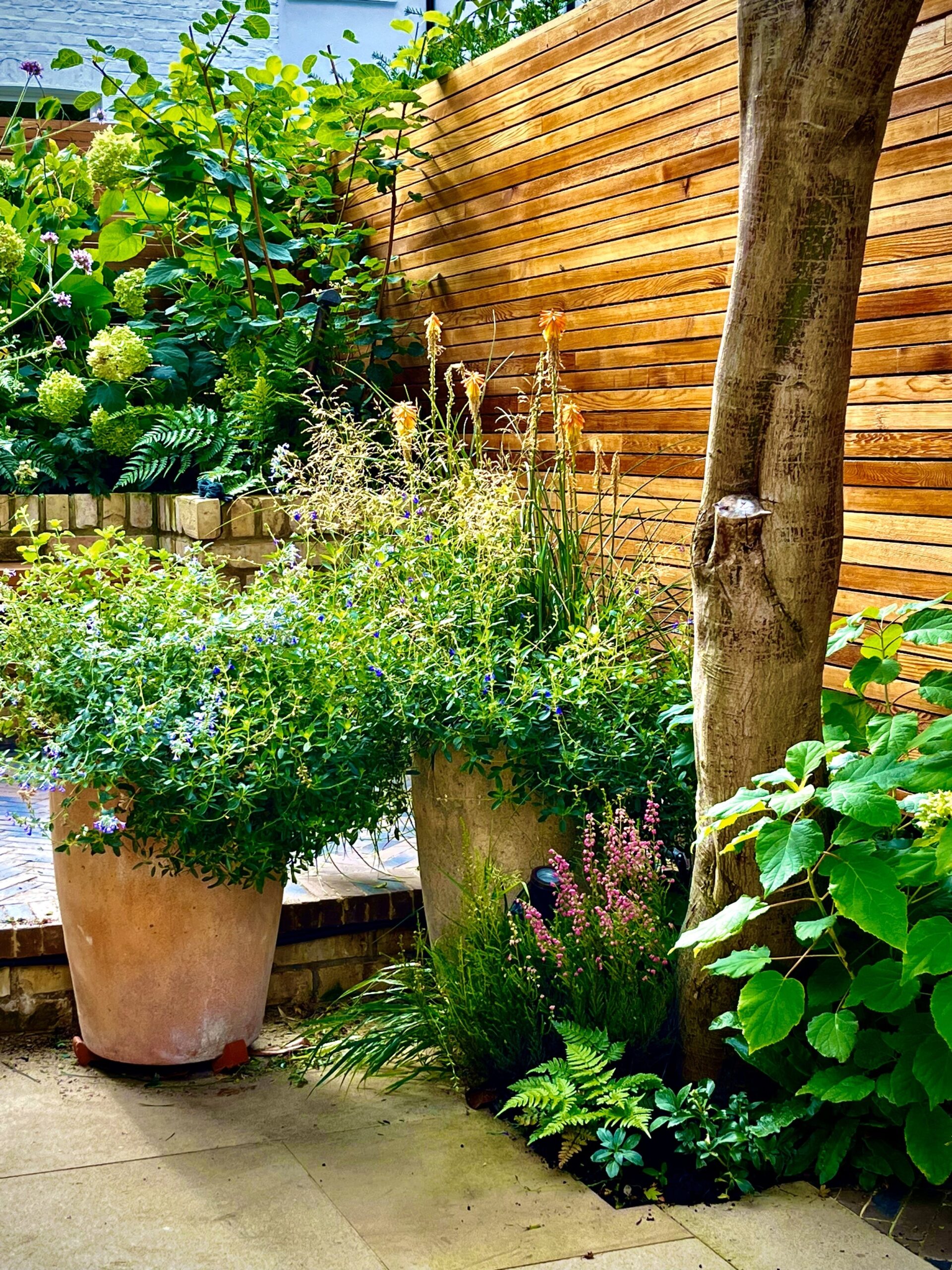 Landscape Gardeners Oxford Transformative Garden Service Near Me