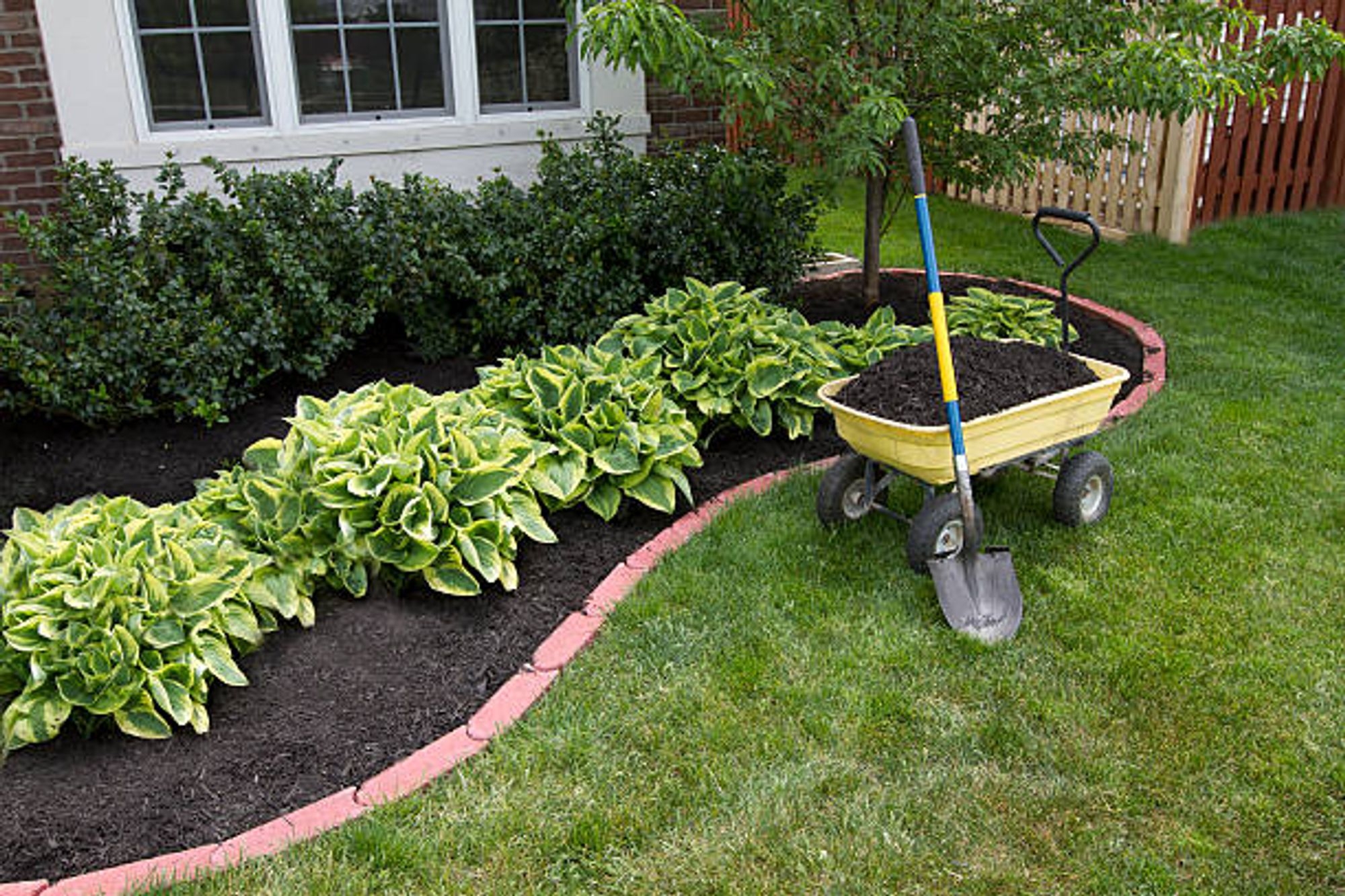 Landscape Gardening Everything You Need To Know 2025 