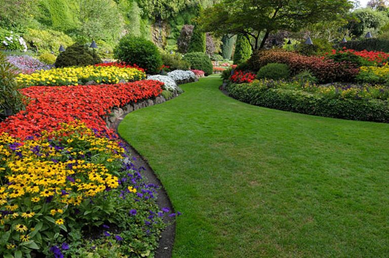 Landscape Gardening Everything You Need To Know 2025