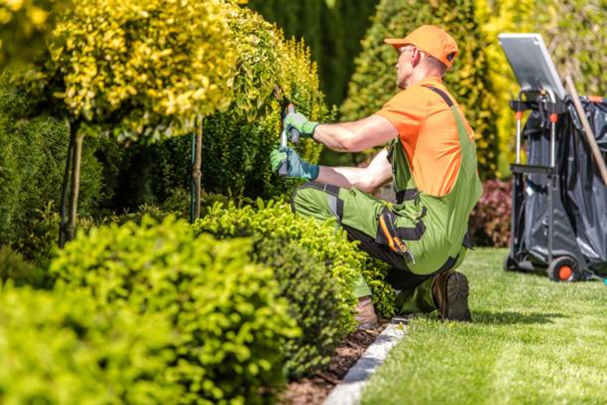local landscape gardeners