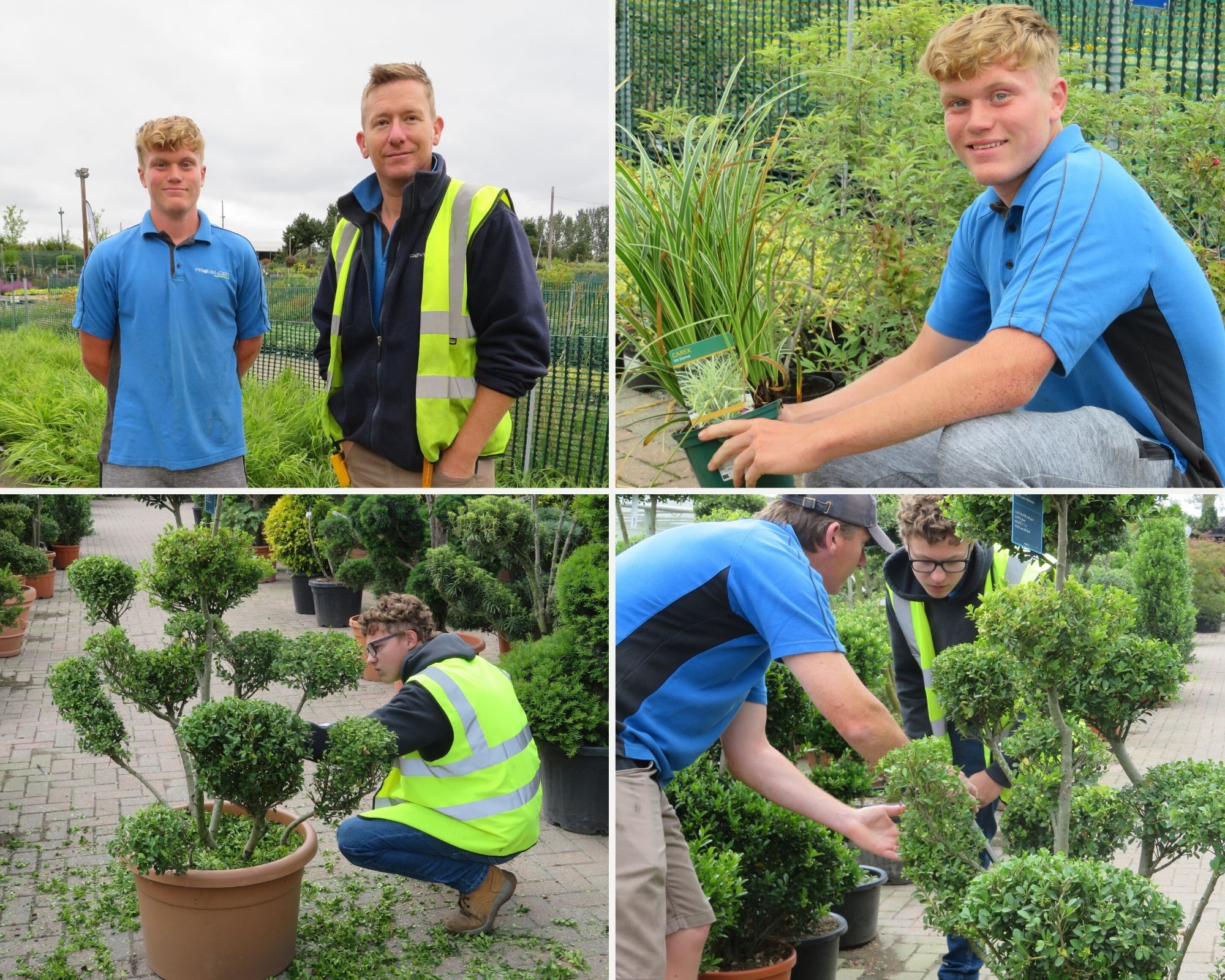 Landscape Gardening Jobs Opportunities Careers