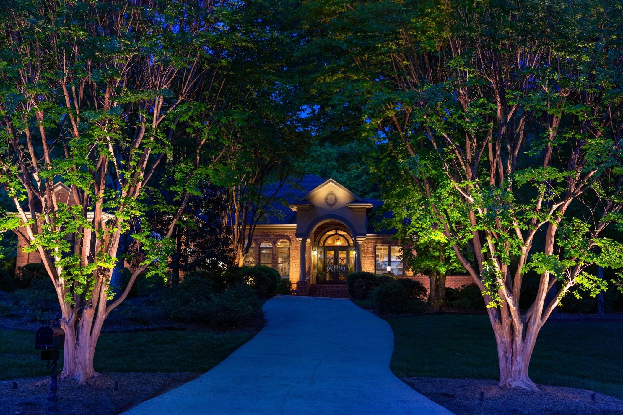 Landscape Lighting Accenting Trees Limelight Outdoor Lighting