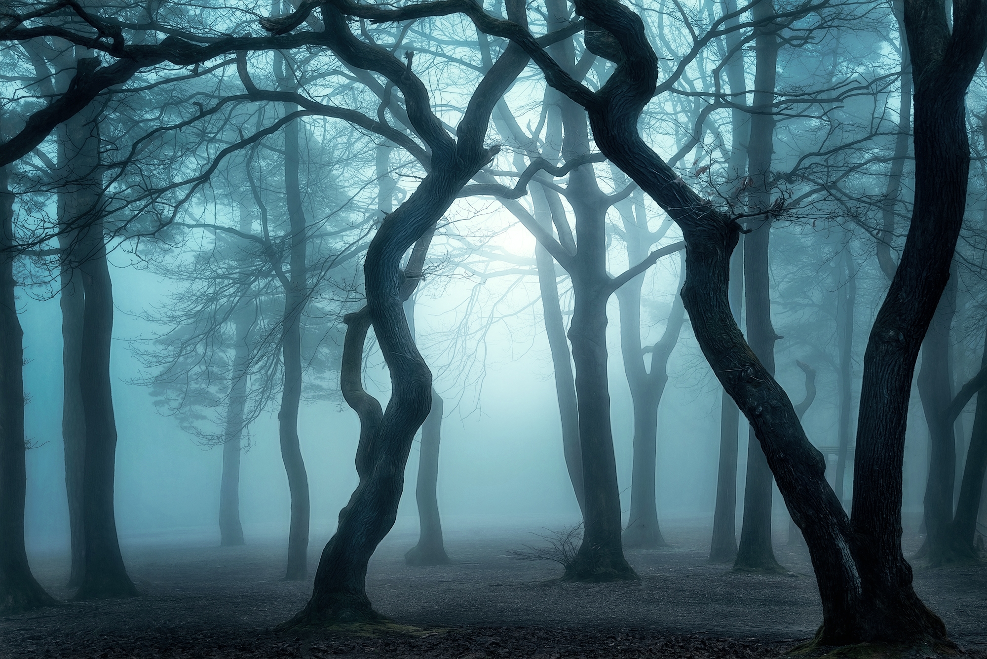 Landscape Photographers Whose Images Inspire Me Photo Cascadia