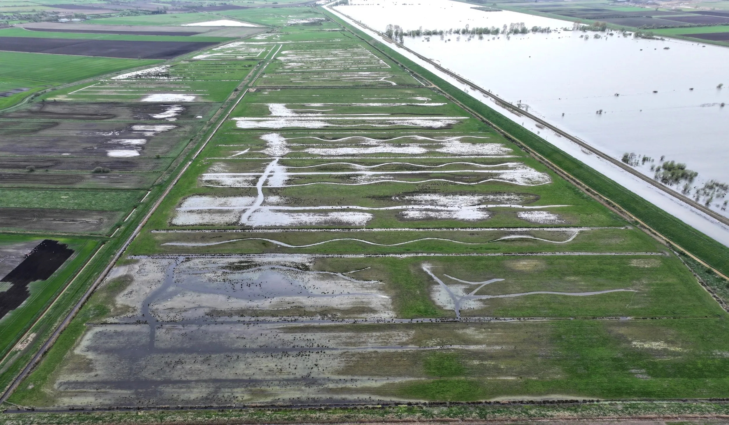 Landscape Recovery Scheme