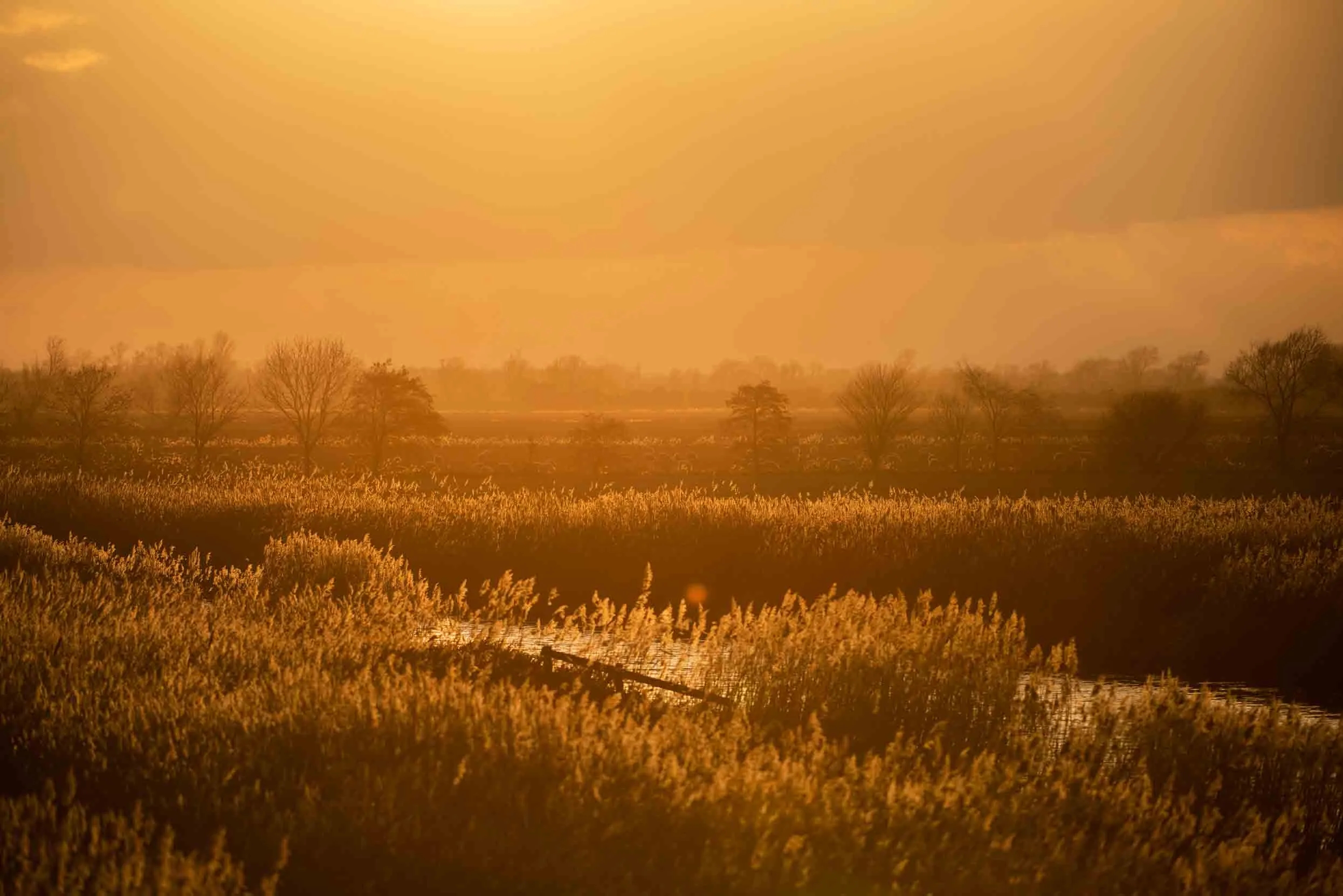 Landscape Recovery Scheme