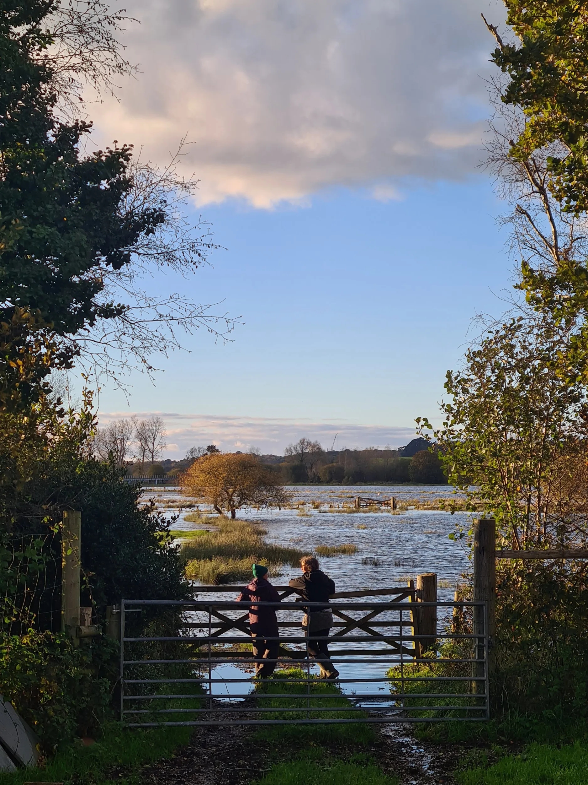 Landscape Recovery Scheme