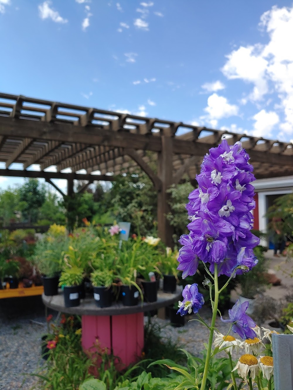 landscape supply of utah