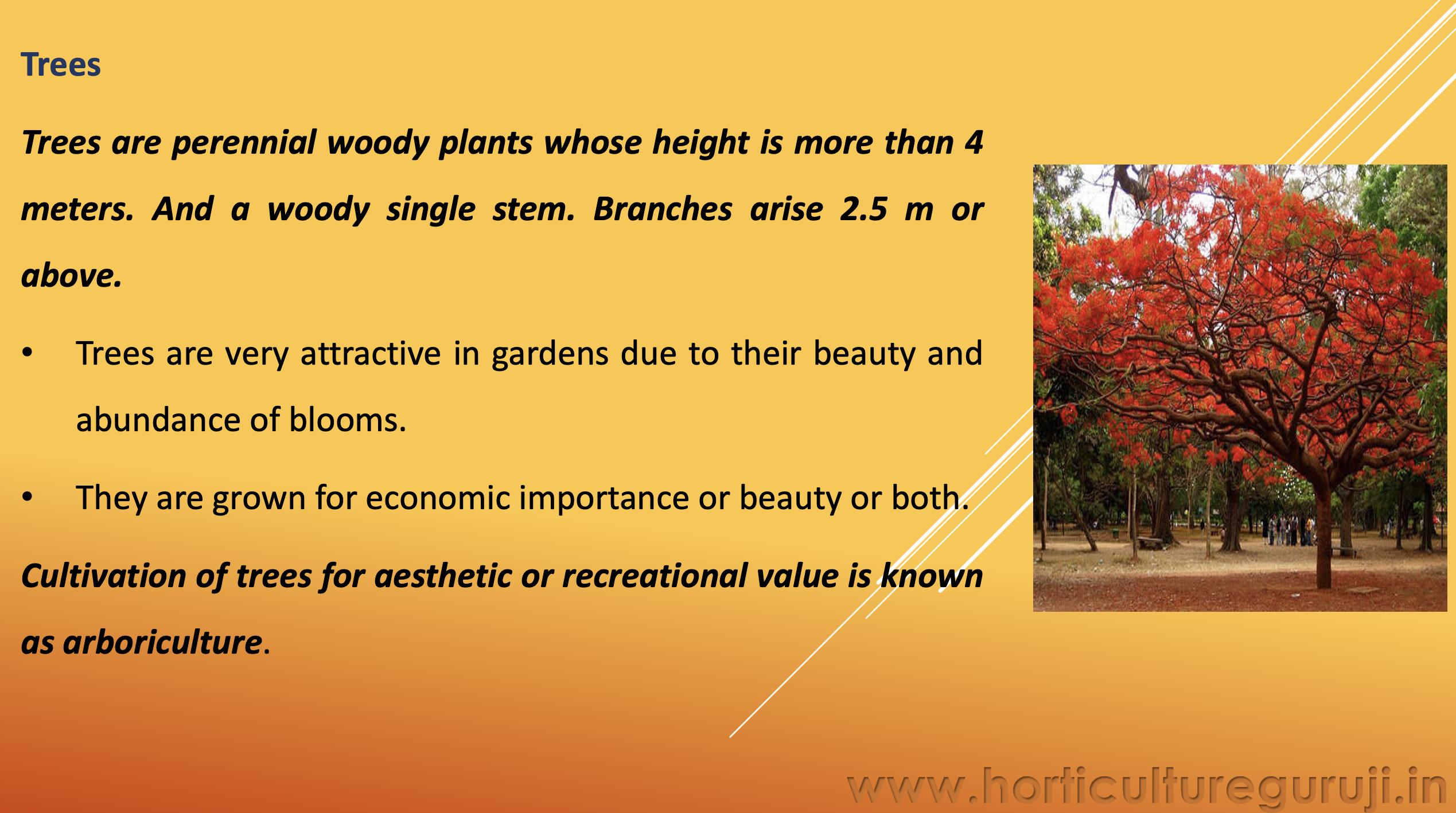 Landscape Use Of Tree Shrubs Climbers And Annuals PPT Horticulture Guruji