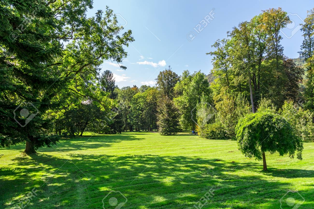 Landscape View Of Natural Park With Path Way Meadow Area And Green Big Trees Among Small Hills And Forest On Bright Blue Sky Background Stock Photo Picture And Royalty Free Image Image