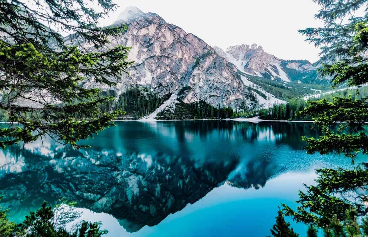 Landscape Vs Portrait Which Is Best 