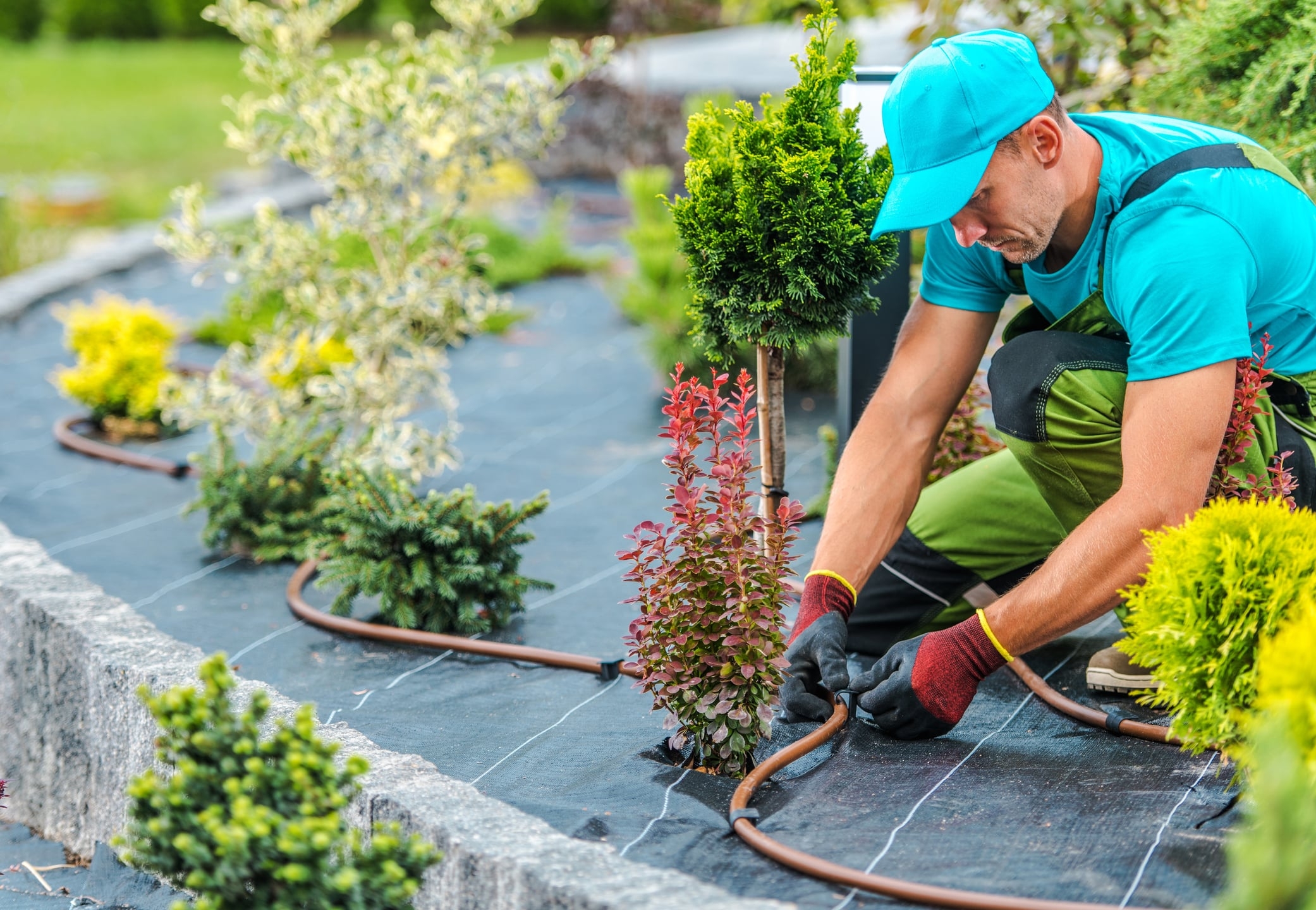 Landscaper Salary Breakdown
