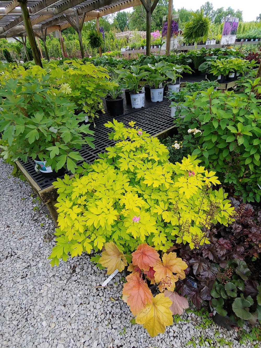 landscapers corner in lexington ky