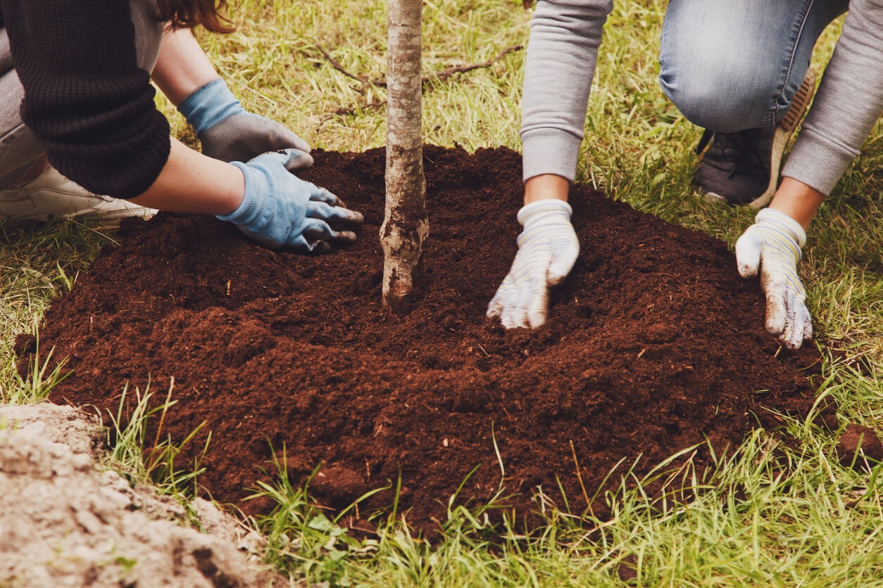 insurance for landscapers