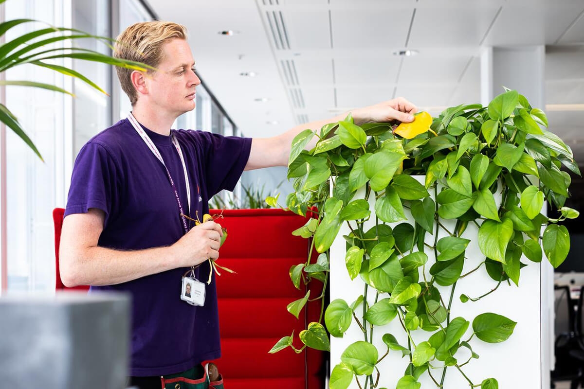 Landscapes Grounds Maintenance Services FM Mitie