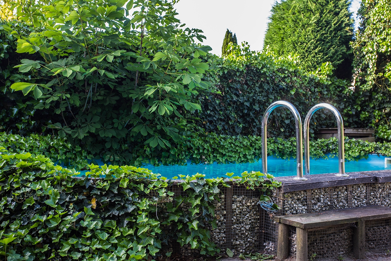 above ground swimming pool landscaping