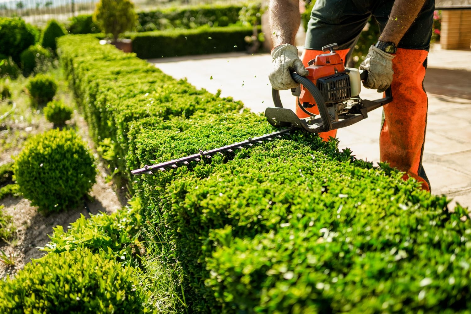 Landscaping Business In Lee County For Sale Truforte Business Group