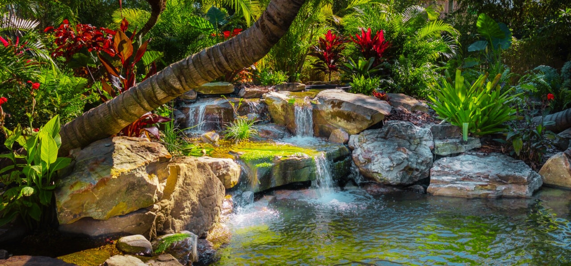 Landscaping Company Palm Harbor FL Earthscapes Garden Room