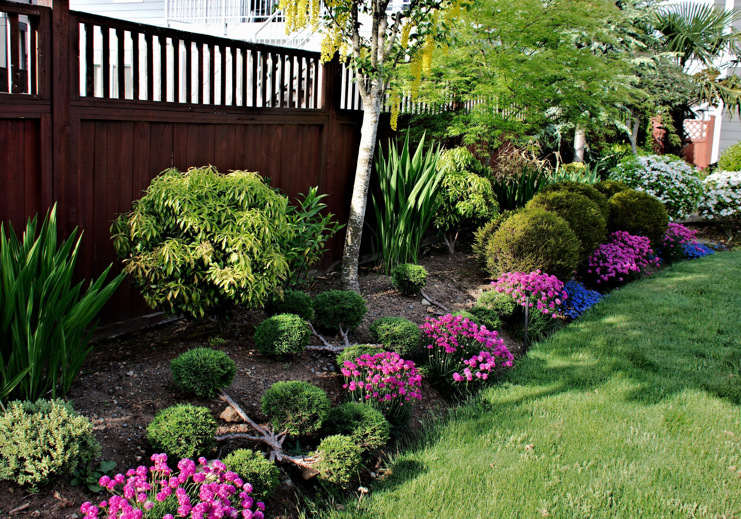 DIY landscaping projects for beginners