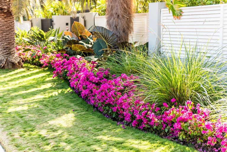 Landscaping Ideas For Florida Curb Appeal Passage Island Construction