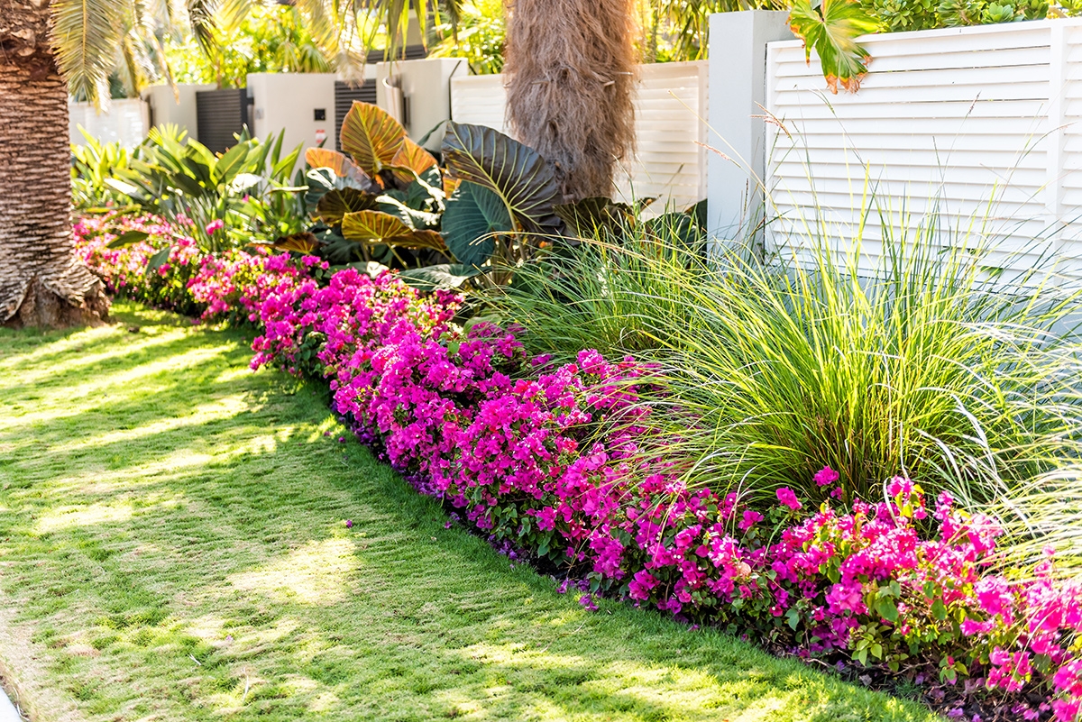 Landscaping Ideas For Florida Curb Appeal Passage Island Construction