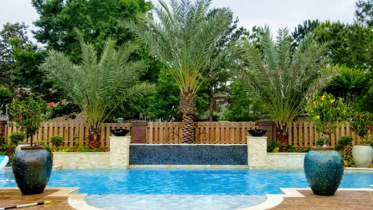 Landscaping Ideas For Your Poolside Oasis Verdant Tree Farm Houston TX