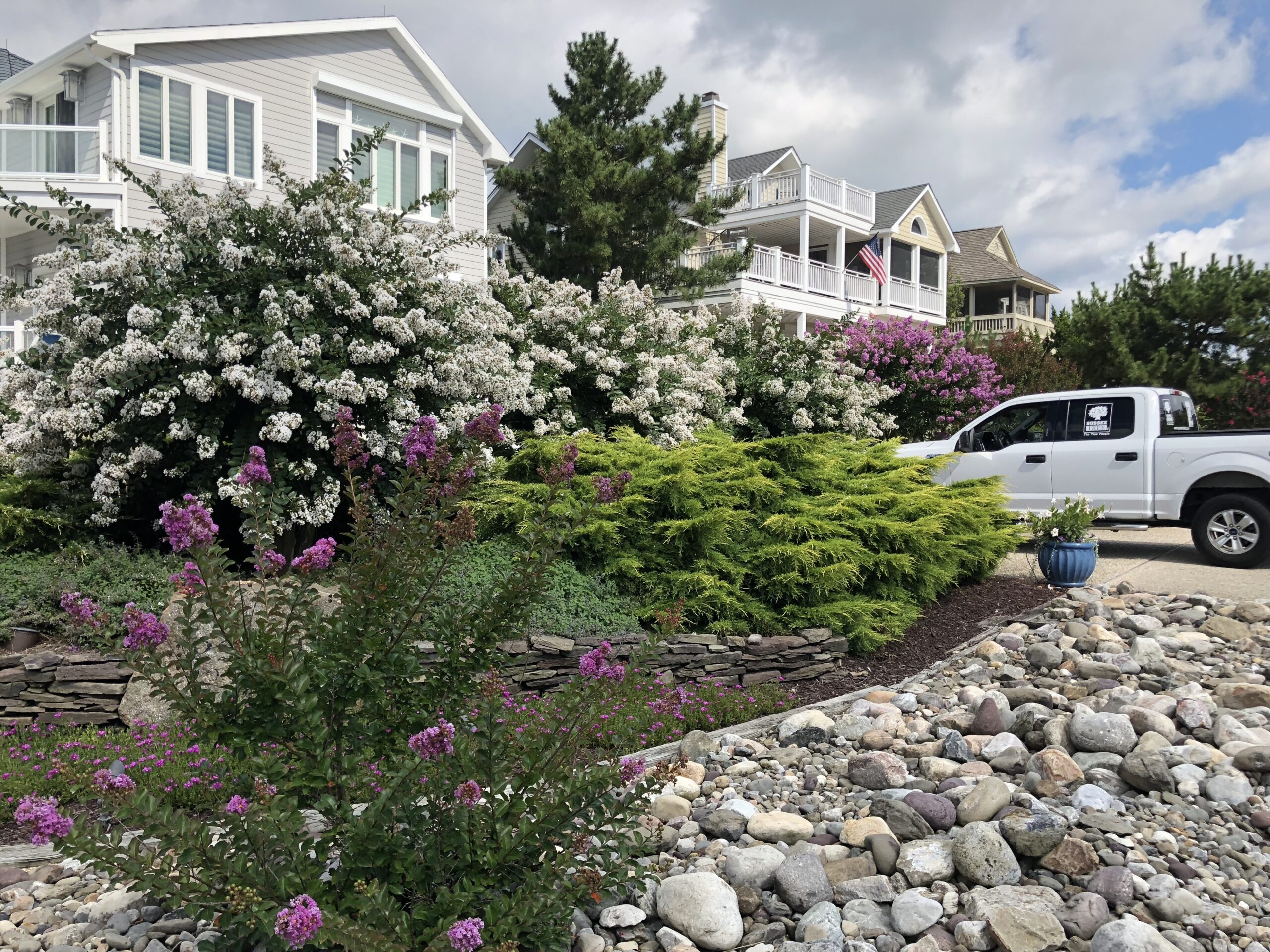 Landscaping In Delaware Sussex Tree Inc Services Tree Care