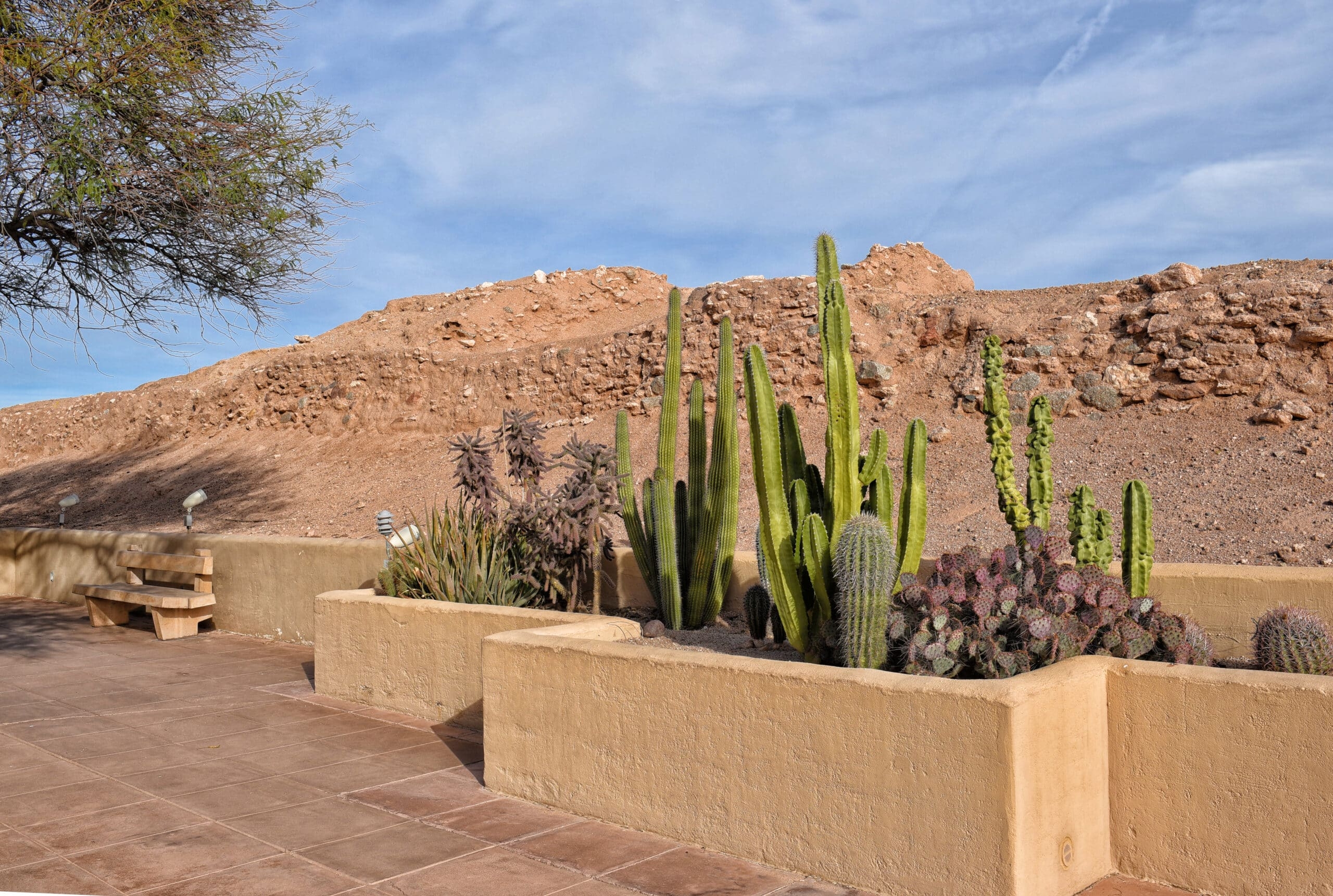 Landscaping Maintenance Service In Las Vegas NV Cacti Landscapes