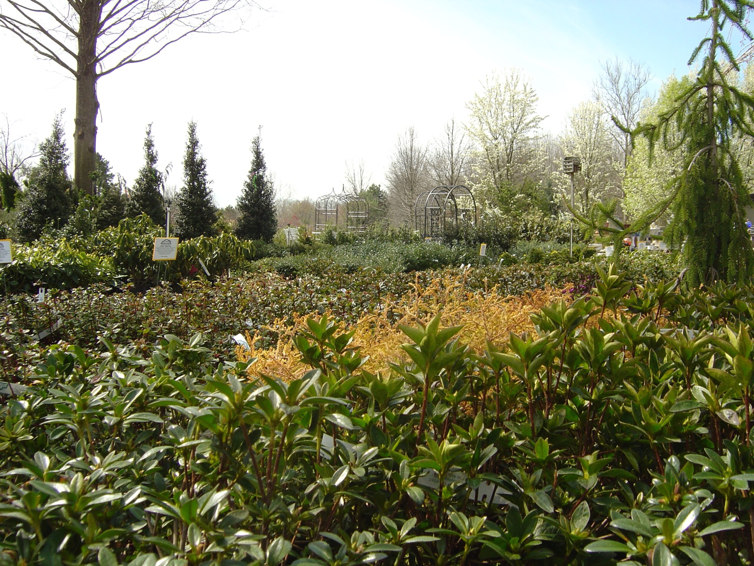 Landscaping Products From Flagg s Garden Center