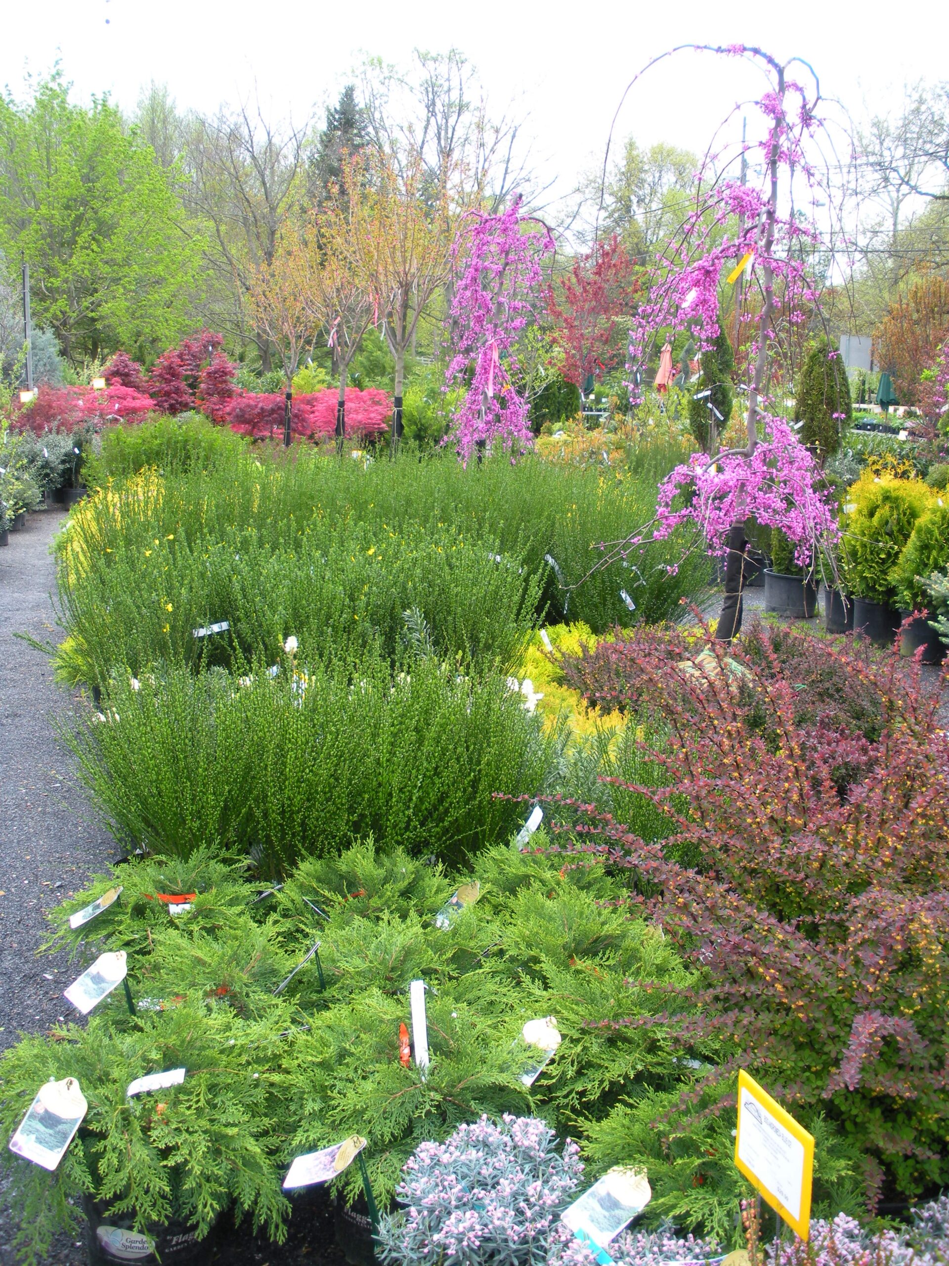 Landscaping Products From Flagg s Garden Center