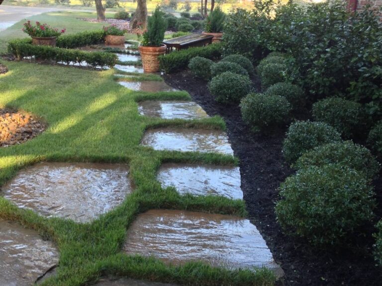 Landscaping San Antonio Top Quality Landscaping Services