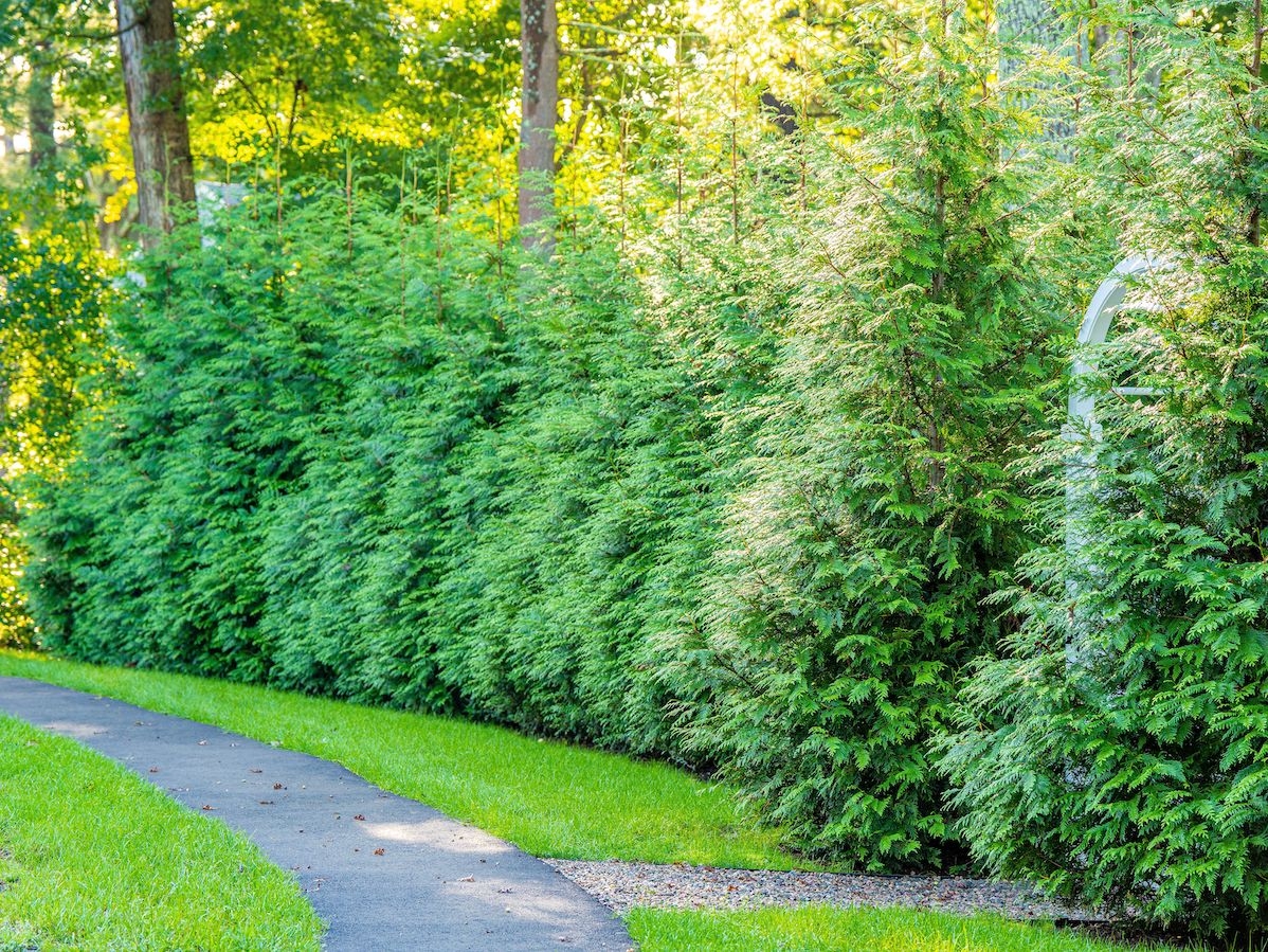 Landscaping Services In Norfolk MA Jim s Landscaping