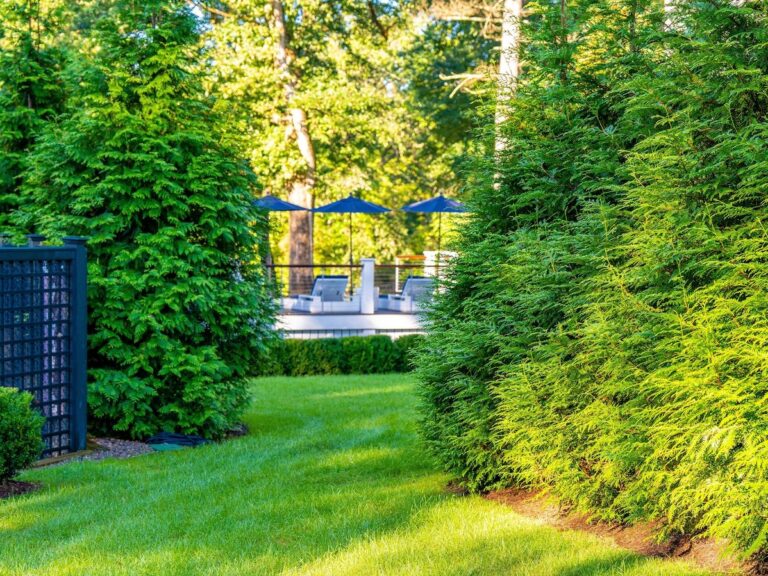 Landscaping Services In Norfolk MA Jim s Landscaping