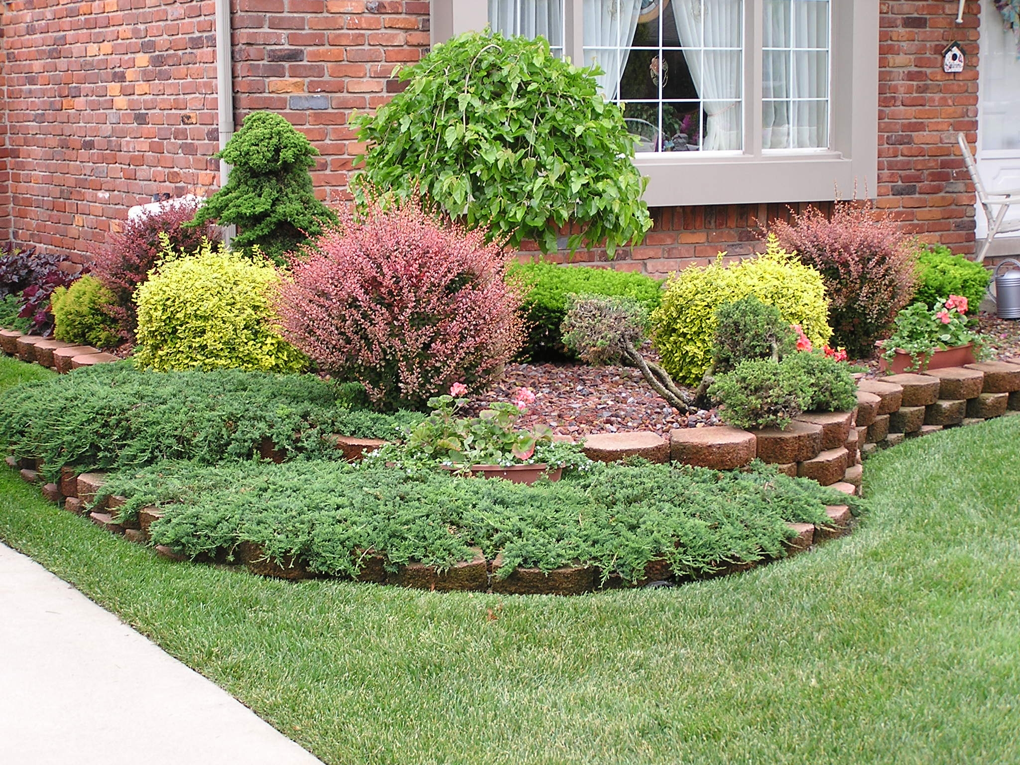 Landscaping Shrubs Landscape Design With Shrubs Dallas Landscaper