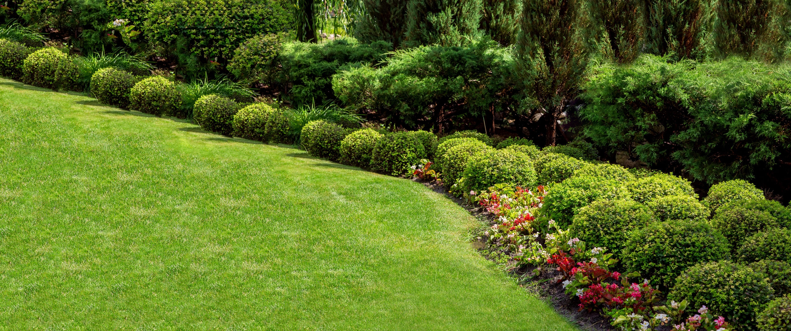 Landscaping Techniques To Improve The Lifespan Of Your Shrubs And Plants U S Lawns
