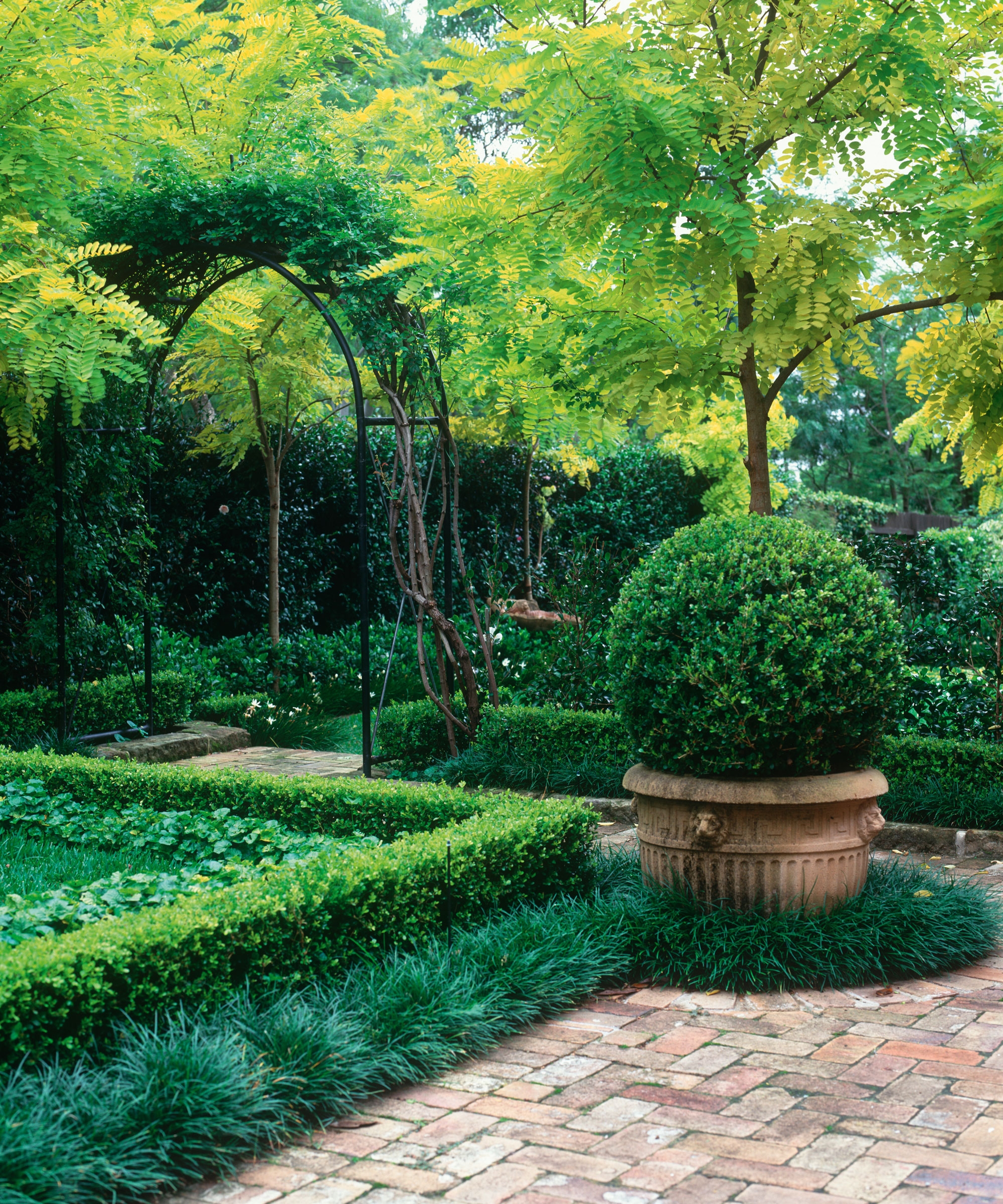 Landscaping With Evergreens 12 Ways To Make An Impact Gardeningetc