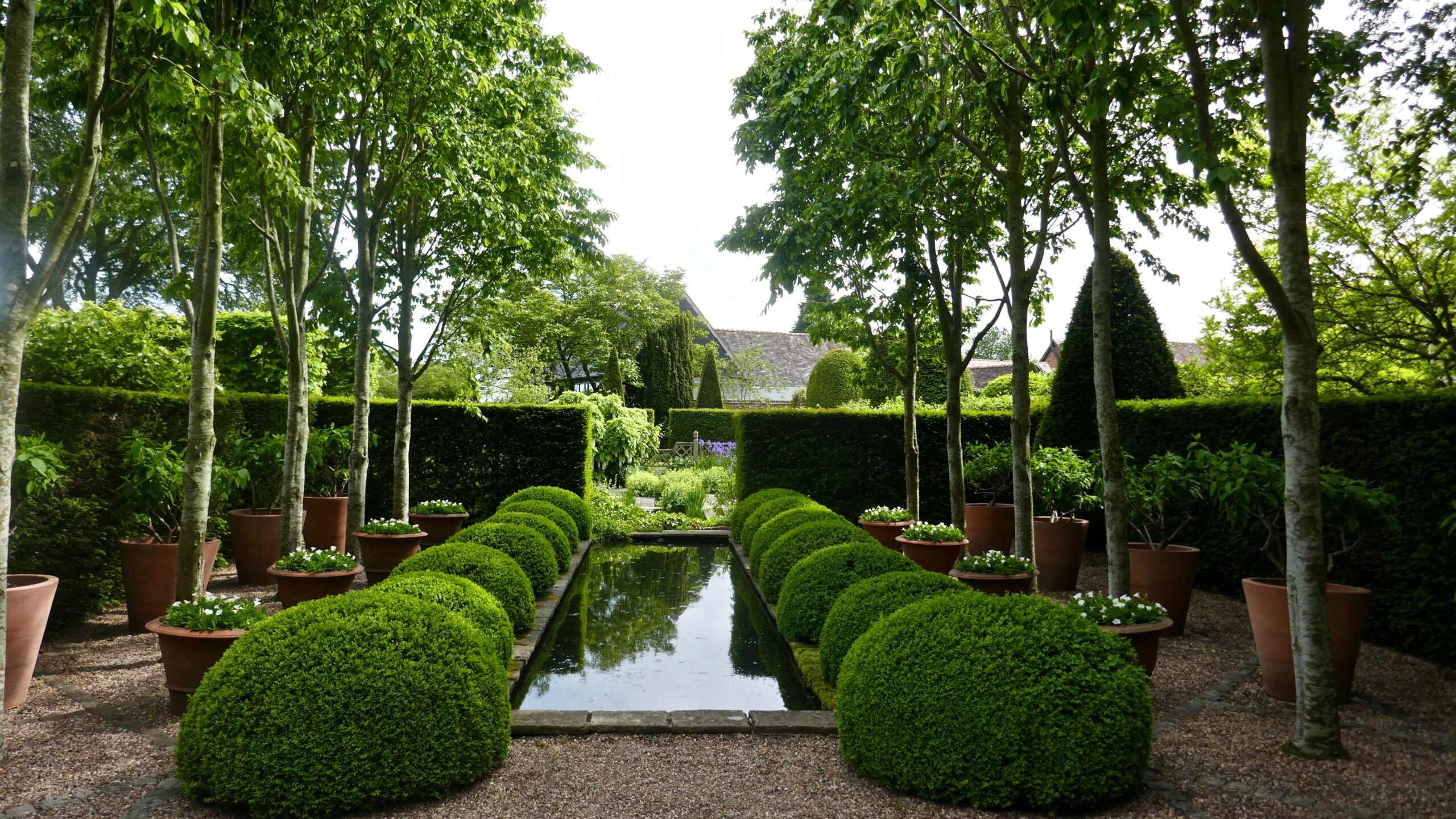 Landscaping With Evergreens 9 Ways To Use In Garden Design Homes And Gardens