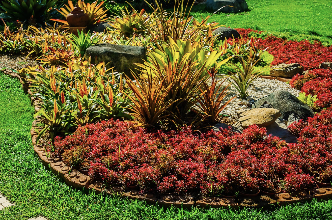 Landscaping With Groundcover Plants