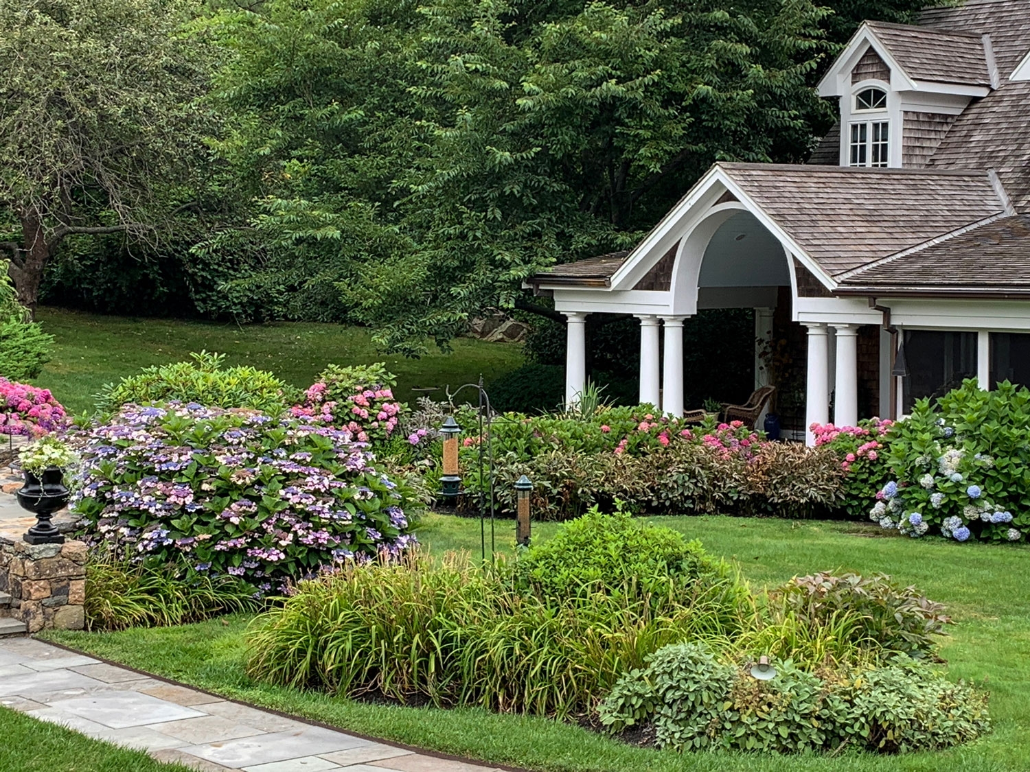 Landscaping With Hydrangeas Private Newport