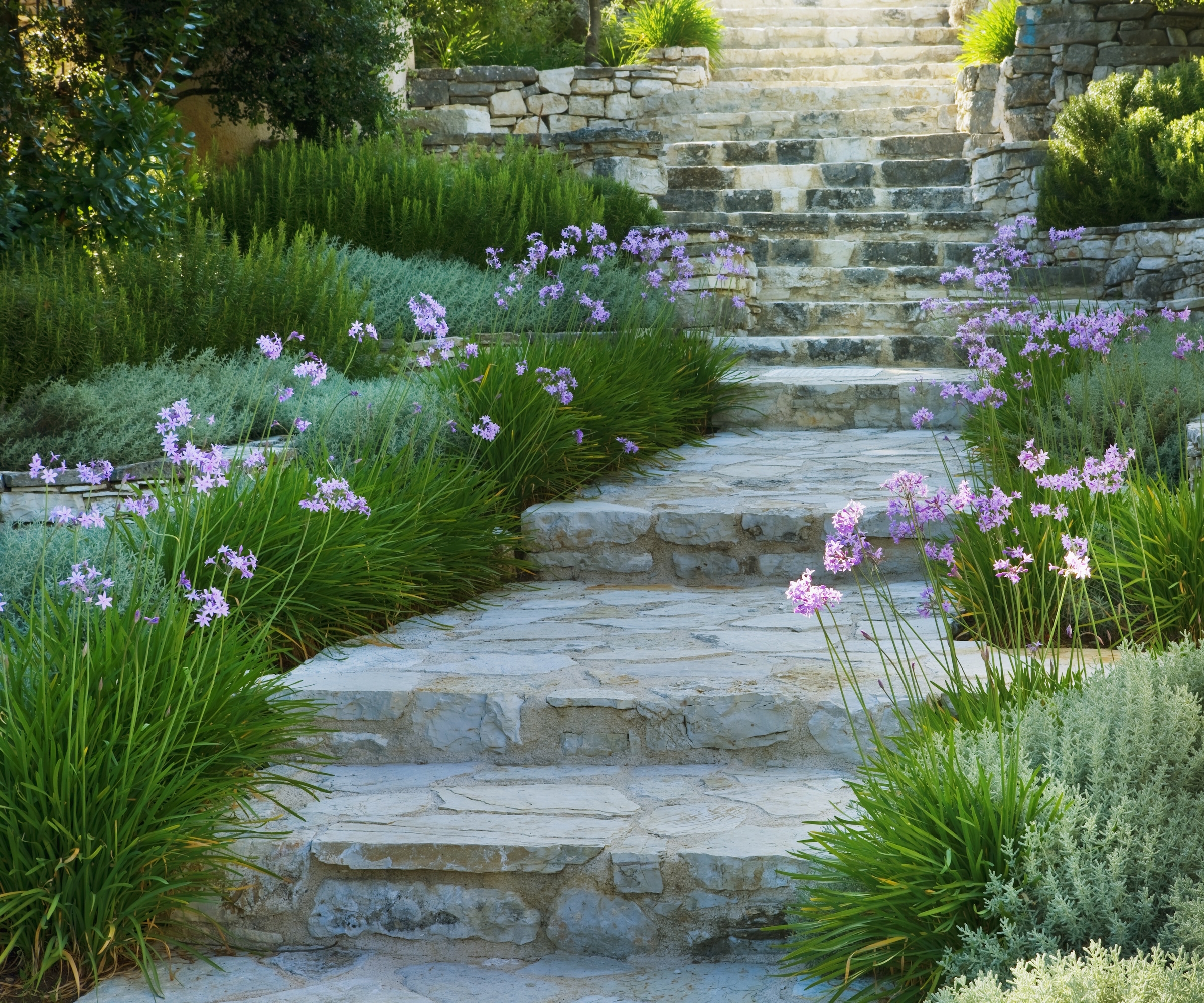Landscaping With Lavender 15 Ways To Use This Classic Shrub Homes And Gardens