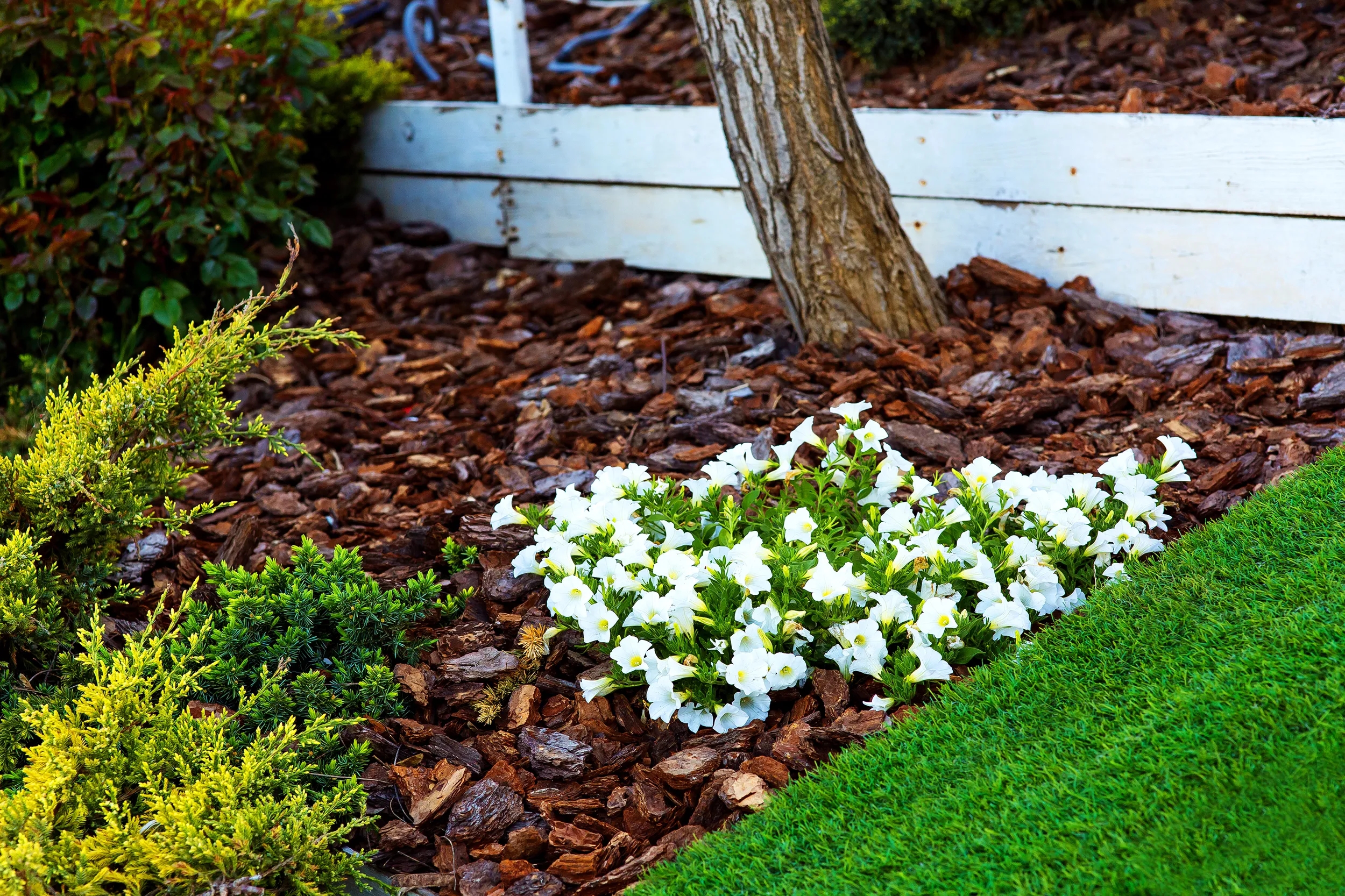 Landscaping With Natural Wood Mulch Southwest Boulder Stone