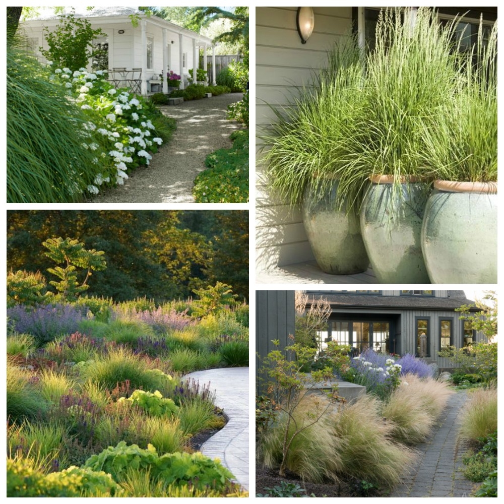 Landscaping With Ornamental Grasses The Happy Housie