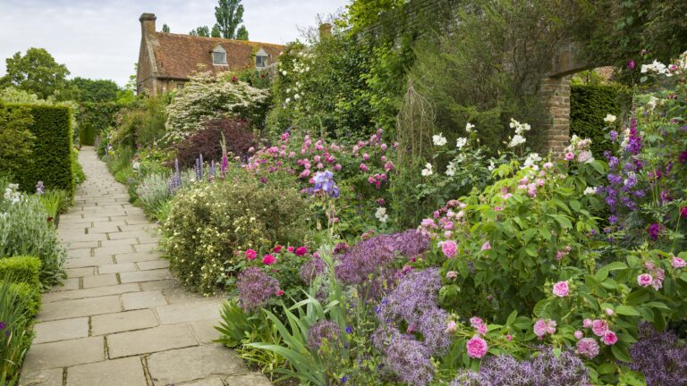 Landscaping With Roses 9 Expert Ways To Use Them Gardeningetc